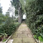 Adele Sant'angelo Città Sant'Angelo