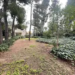 Adele Sant'angelo Villa Città Sant'Angelo