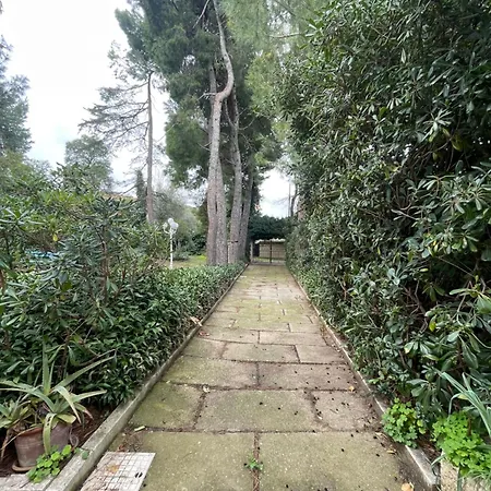 Adele Citta' Sant'Angelo