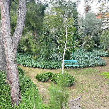 Adele * チッタ・サンタンジェロ