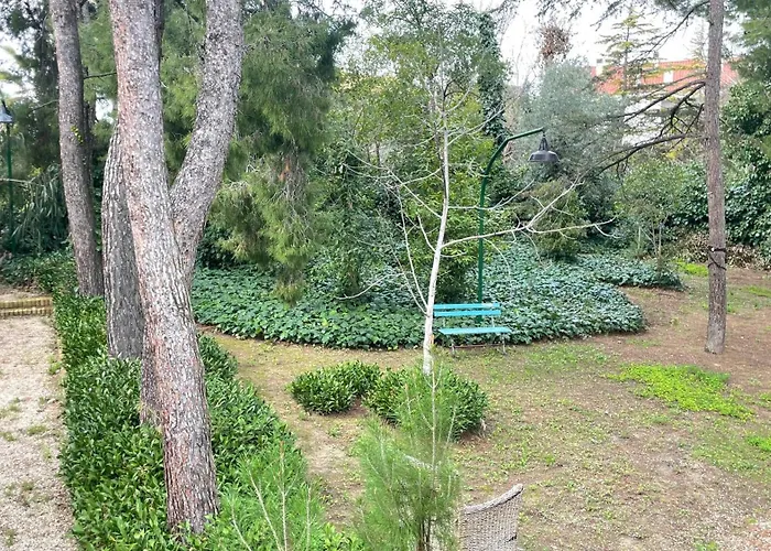 Adele * チッタ・サンタンジェロ