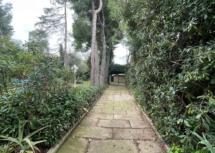 Adele Citta Sant'Angelo